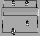 Seaside Volley (Japan) In game screenshot